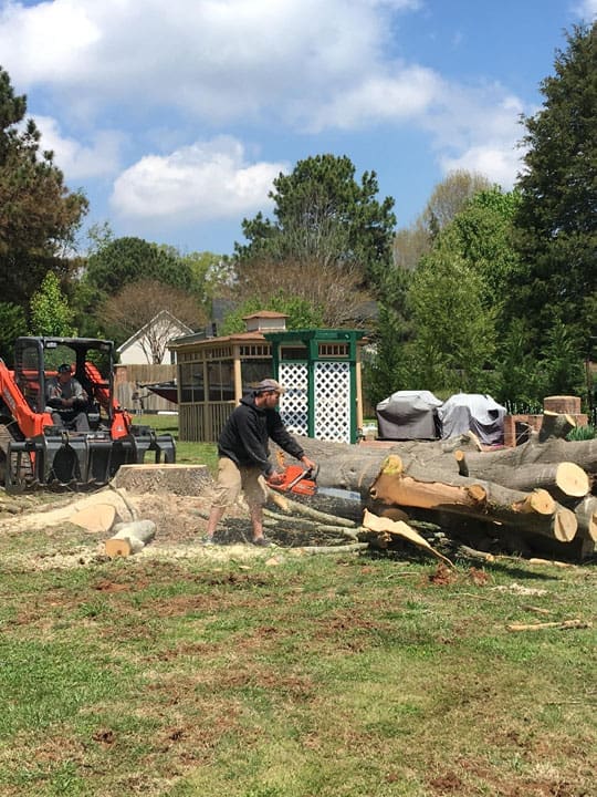 Carolina Tree Works Rock Hill SC Tree Removal